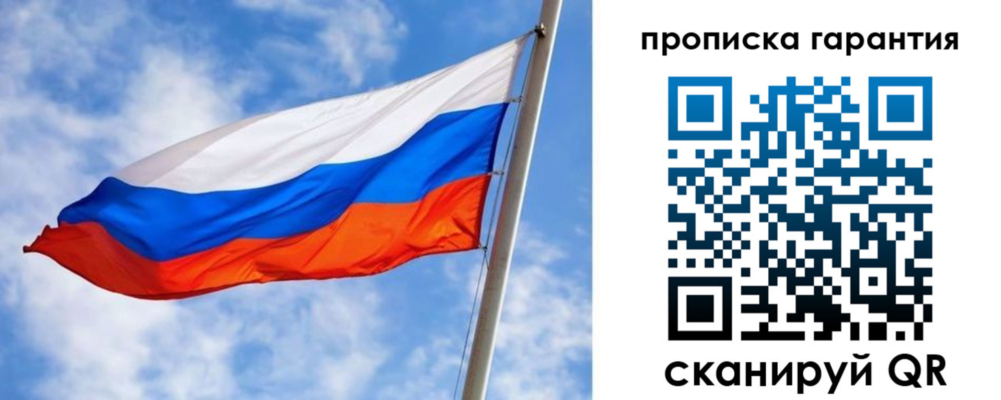 прописка гарантия в Выборге